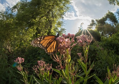 The coming years will be a crucial test of whether humanity truly values nature.