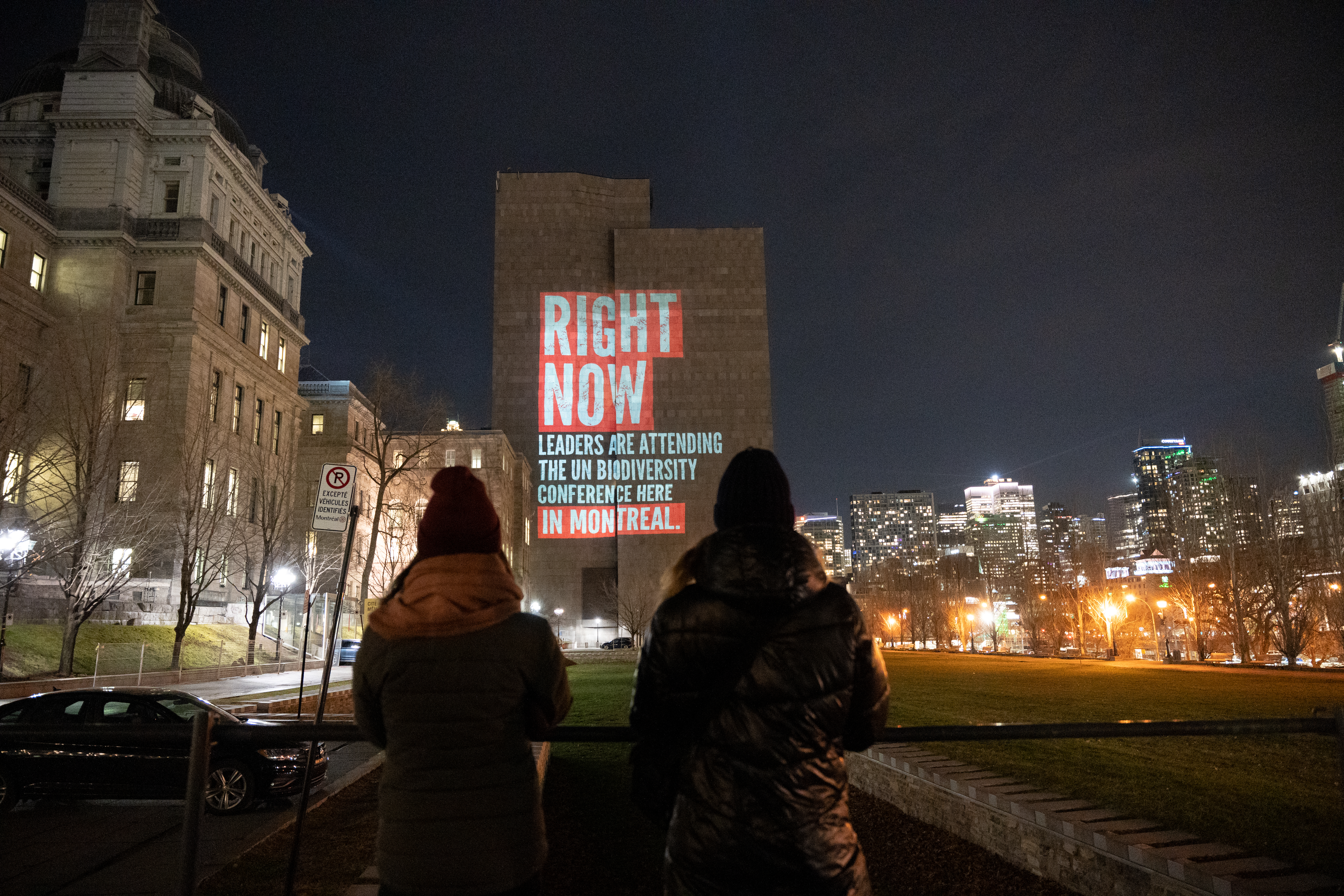 © Holly Chapman _ WWF