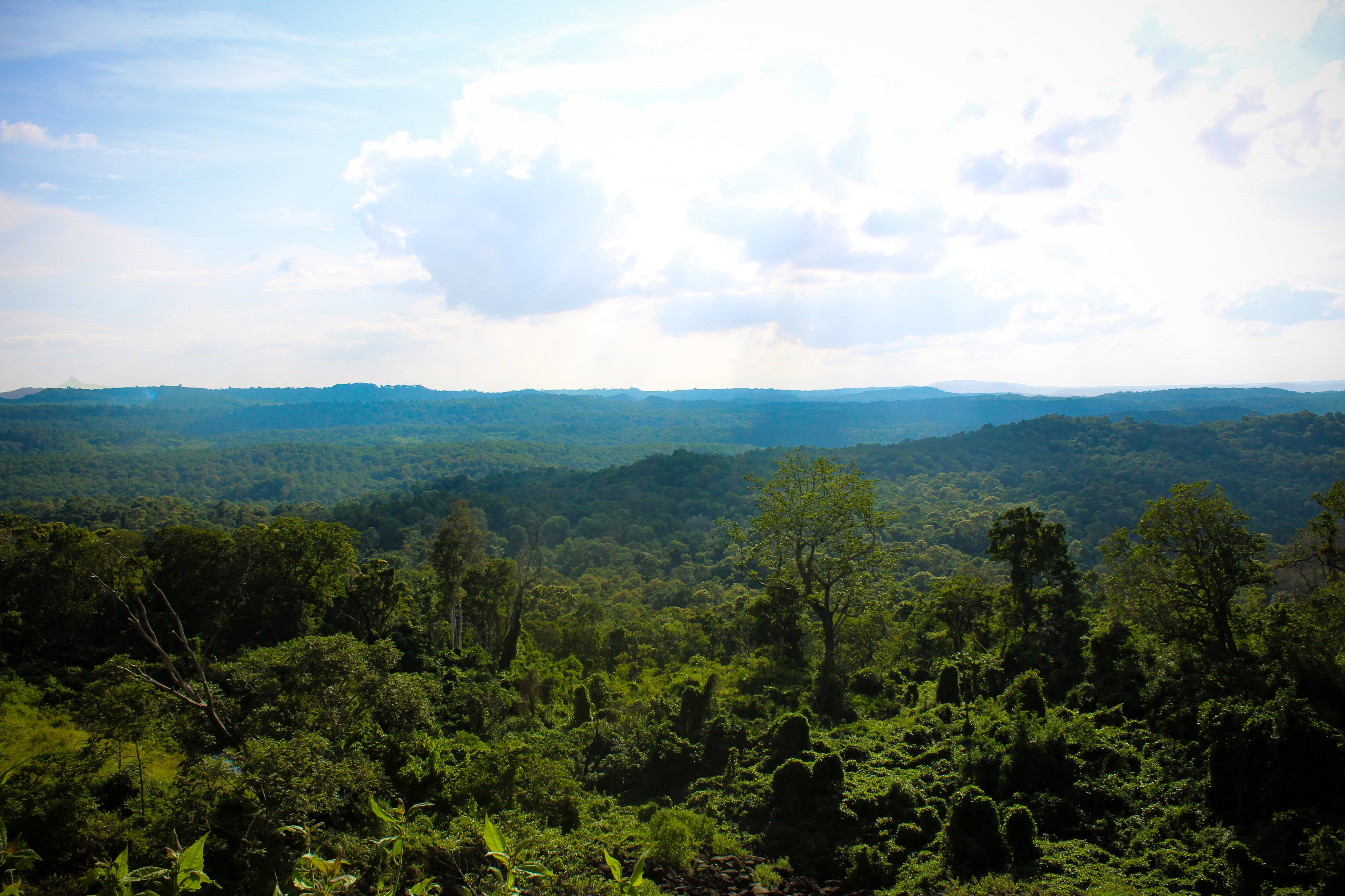 © Mallory Graves_WWF-Greater Mekong 2