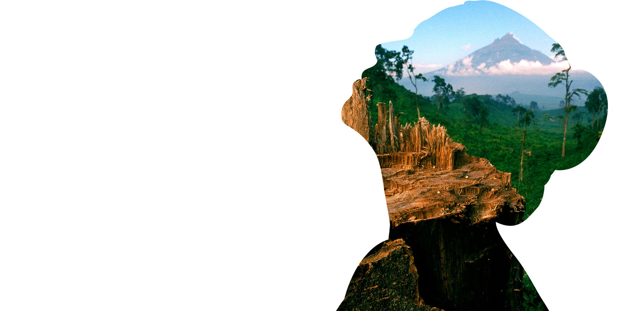 © naturepl.com  Jabruson  WWF-1