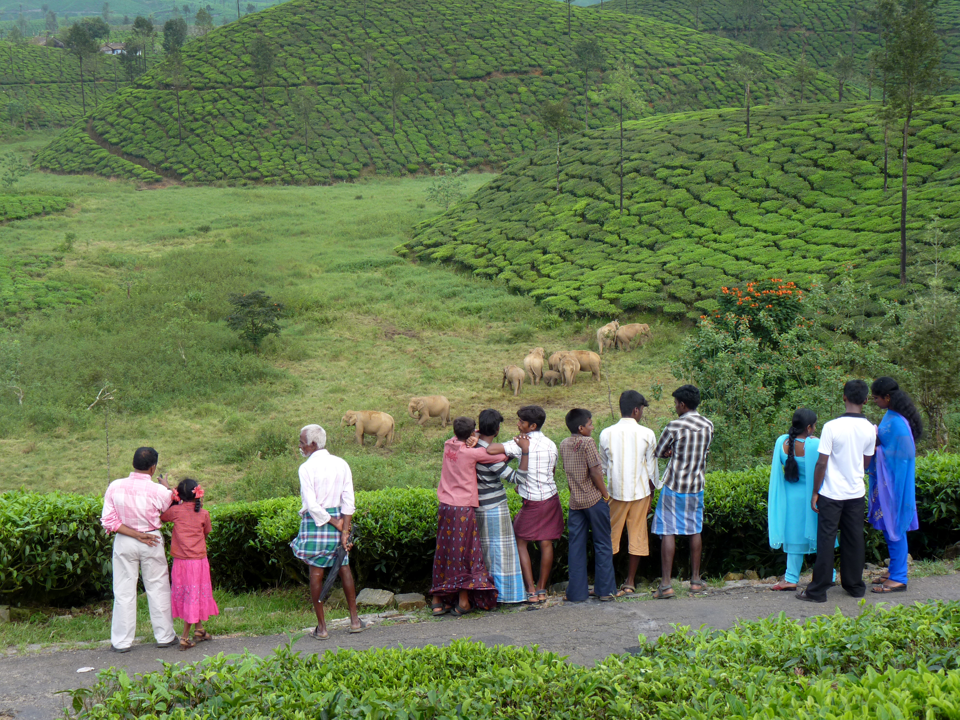 Ananda Kumar, Nature Conservation Foundation