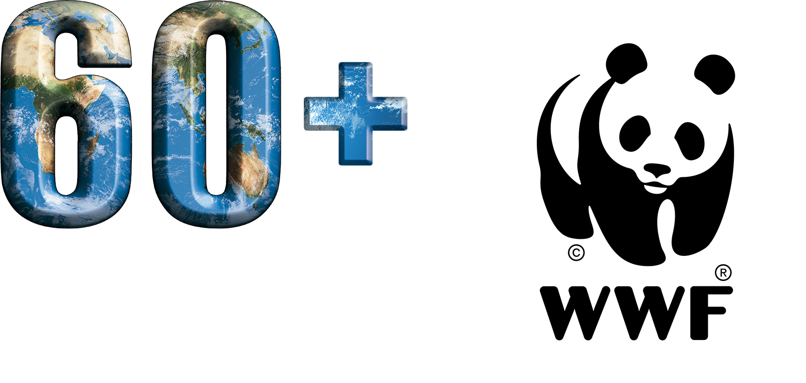 EH transparent and WWF