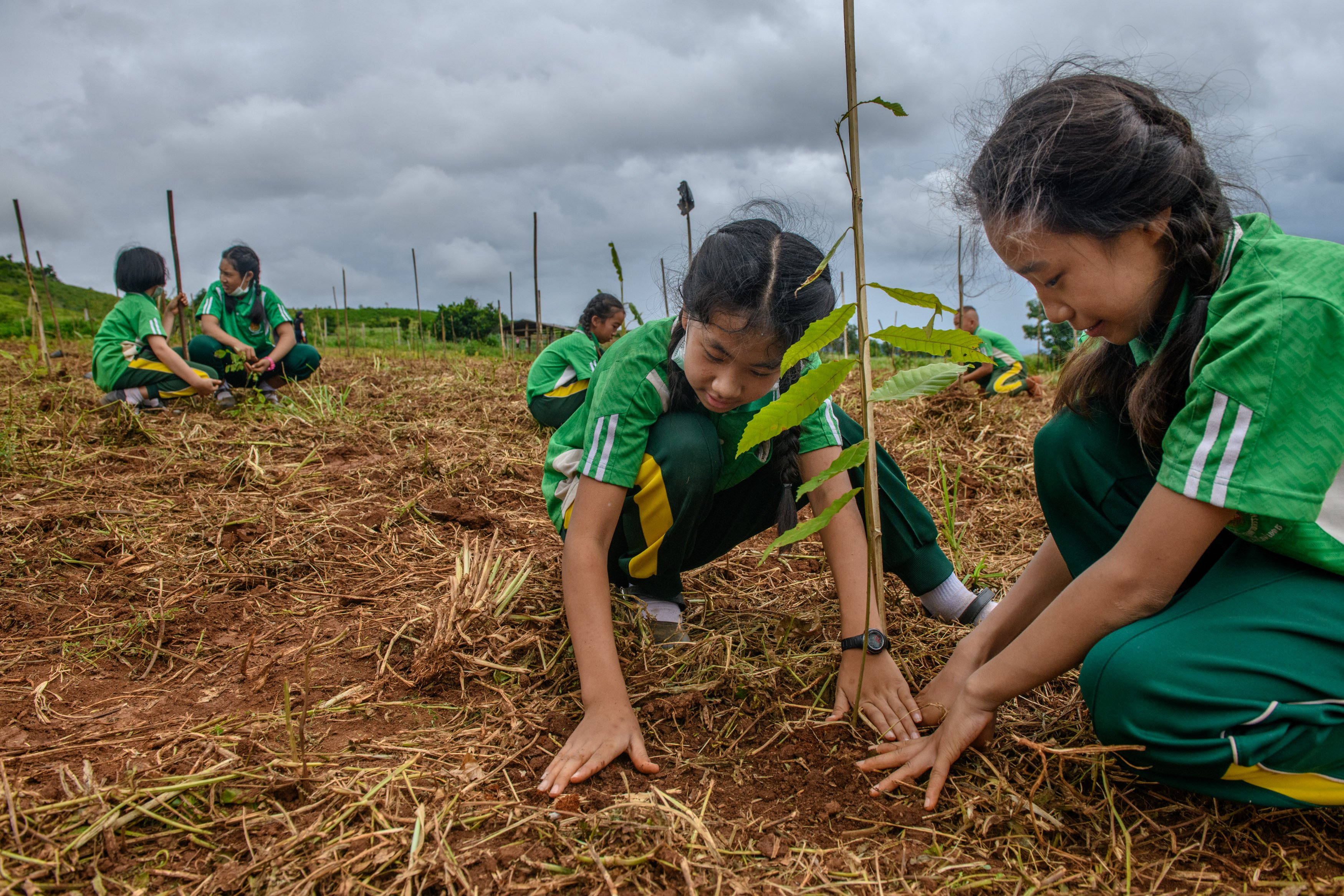 Jittrapon_Kaicome_WWF_FLR349_001