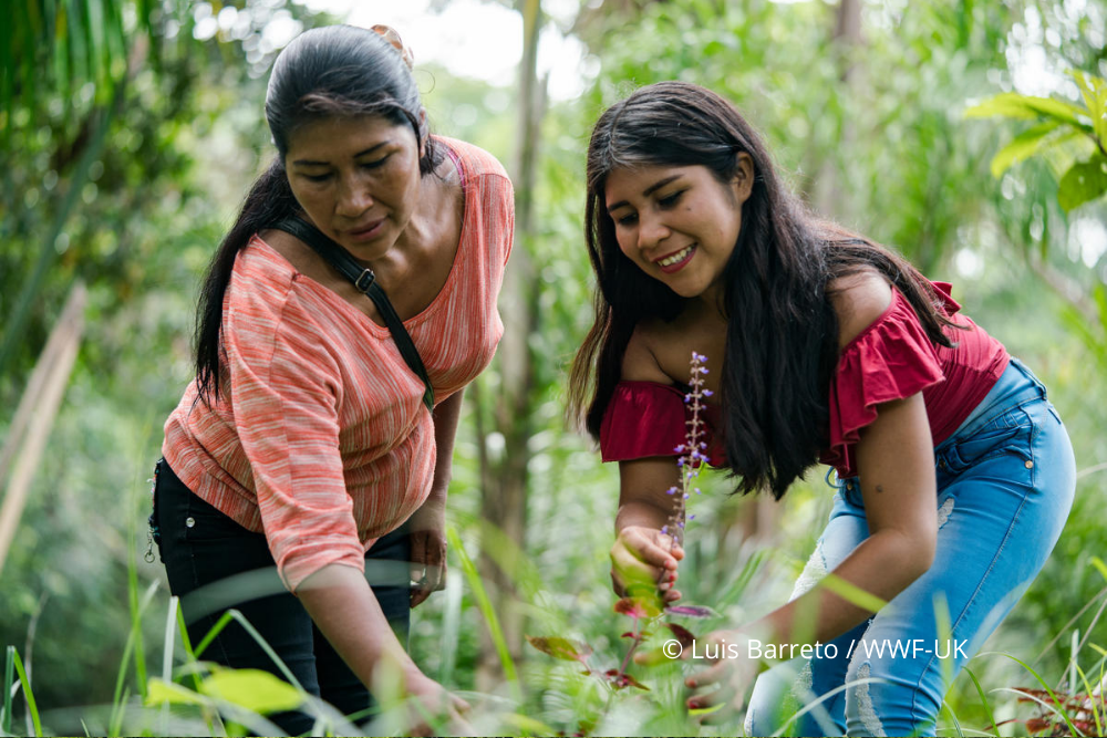 Luis Barreto  WWF-UK   La Chorrera, Predio Putumayo Indigenous Reserve