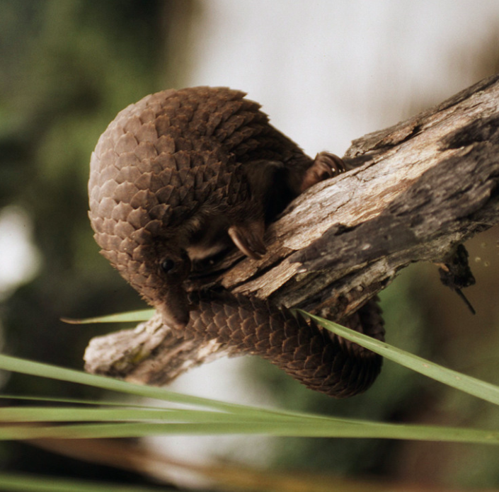 Screen Shot 2020-08-25 at 3.13.14 PM