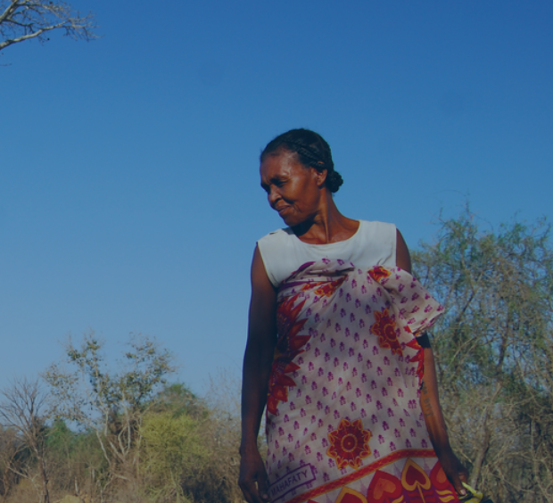 Screenshot 2020-09-24 at 2.47.45 PM