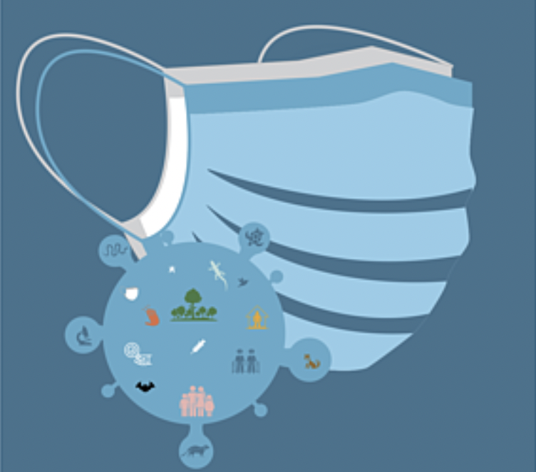 Screenshot 2021-05-24 at 13.19.51