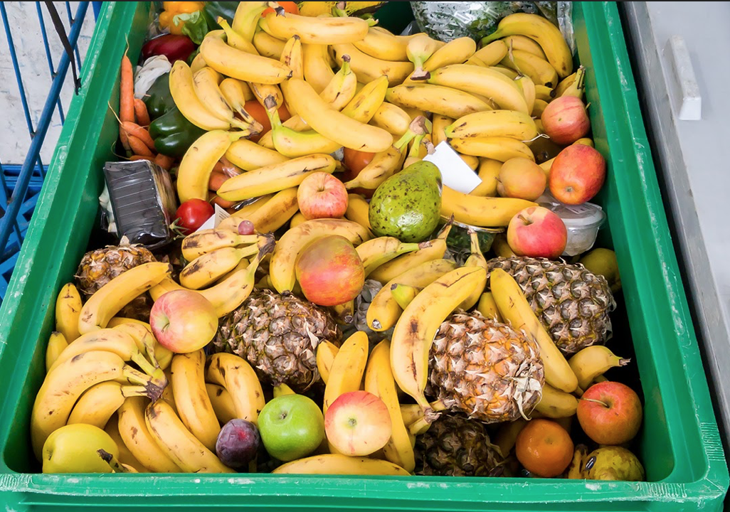 © Shutterstock / WWF