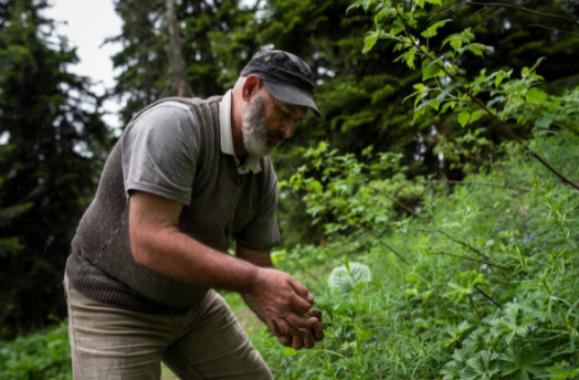 Screenshot 2022-03-16 at 2.42.50 PM