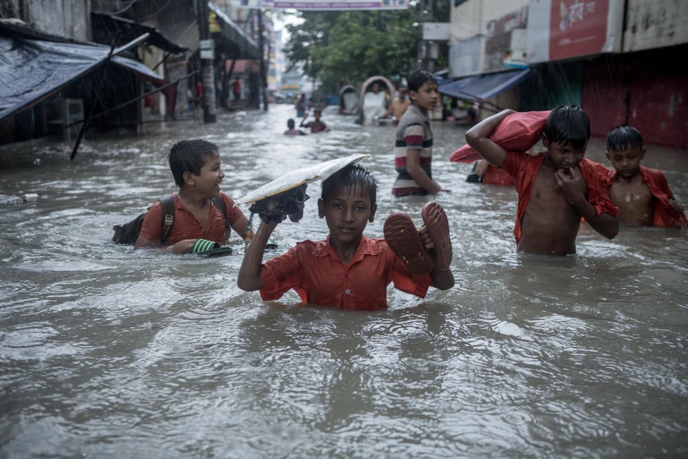 Jashim Salam / WWF-UK