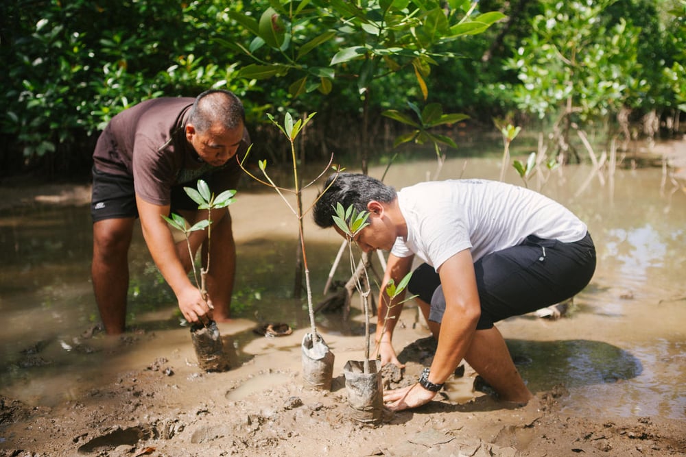 ANBATAR, a group of youth from Kampung Taritipan in the district of Kota Marudu, Sabah take the initiative to protect mangrove forest around their village. Their awareness and hard work is the good example on how community can help to conserve and protect natural environment. Their village is fall under the gazzetted Tun Mustapha Park, the largest marine park in Malaysia.