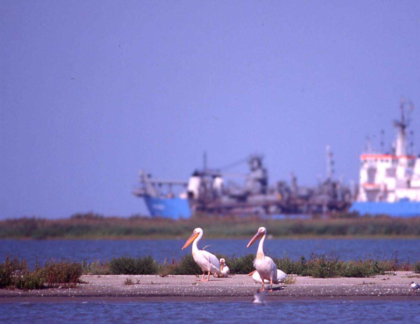 Hundreds of hydropower, and dozens of navigation and flood protection infrastructure plans under preparation in Central and Eastern Europe would require proper biodiversity safeguards or be dropped altogether under the WFD in order to ensure that no harm will be done. © WWF