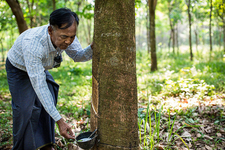 small_ww266415_1_688014