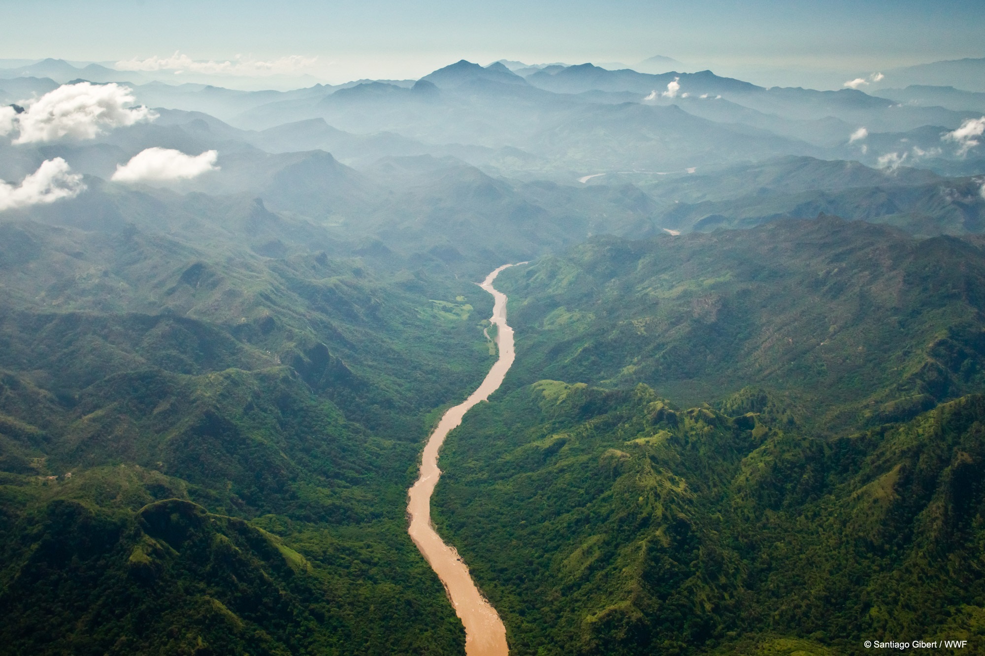Keeping rivers free flowing is important in lots of ways for both people and wildlife, so we’re calling for increased action to protect our rivers.